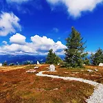 Daire See-apartment Aura Am Fusse Der Gerlitzen Alpe Und Ufer Des Ossiacher Sees - Mit Privatem Seezugang & Hallenbad Steindorf am Ossiacher See