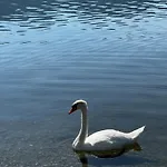 See-apartment Aura Am Fusse Der Gerlitzen Alpe Und Ufer Des Ossiacher Sees - Mit Privatem Seezugang & Hallenbad Daire *