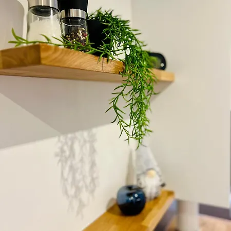 Apartmán See-apartment Aura Am Fusse Der Gerlitzen Alpe Und Ufer Des Ossiacher Sees - Mit Privatem Seezugang & Hallenbad Steindorf am Ossiacher See