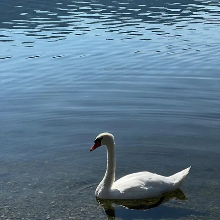 See-apartment Aura Am Fusse Der Gerlitzen Alpe Und Ufer Des Ossiacher Sees - Mit Privatem Seezugang & Hallenbad Apartmán *