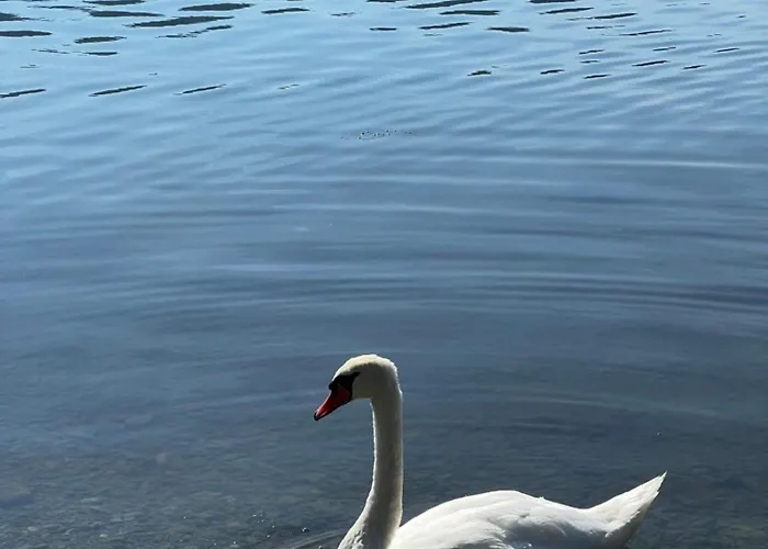 See-apartment Aura Am Fusse Der Gerlitzen Alpe Und Ufer Des Ossiacher Sees - Mit Privatem Seezugang & Hallenbad Appartement *